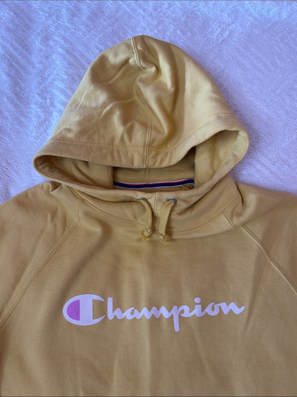 Champion Tan Script Logo Hooded Sweatshirt - Picture 3 of 8